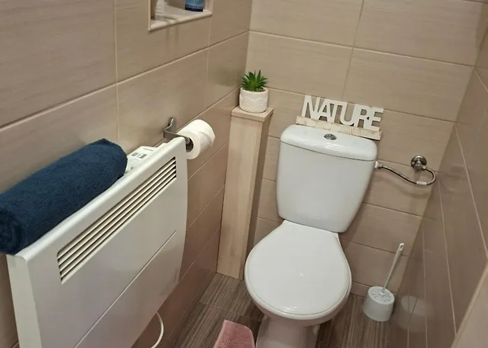Fand Center Apartament *